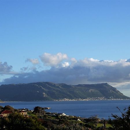 Restio Garden Studio Simon's Town Exterior photo